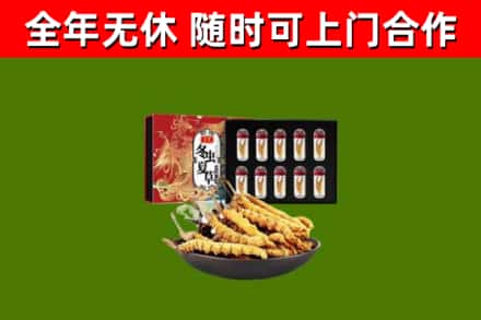 平阳烟酒回收冬虫夏草礼盒.jpg