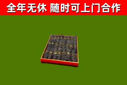 平阳回收海参